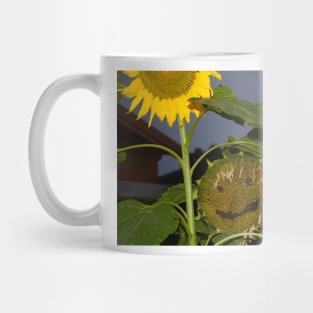 Sunflowers birds food station Mug